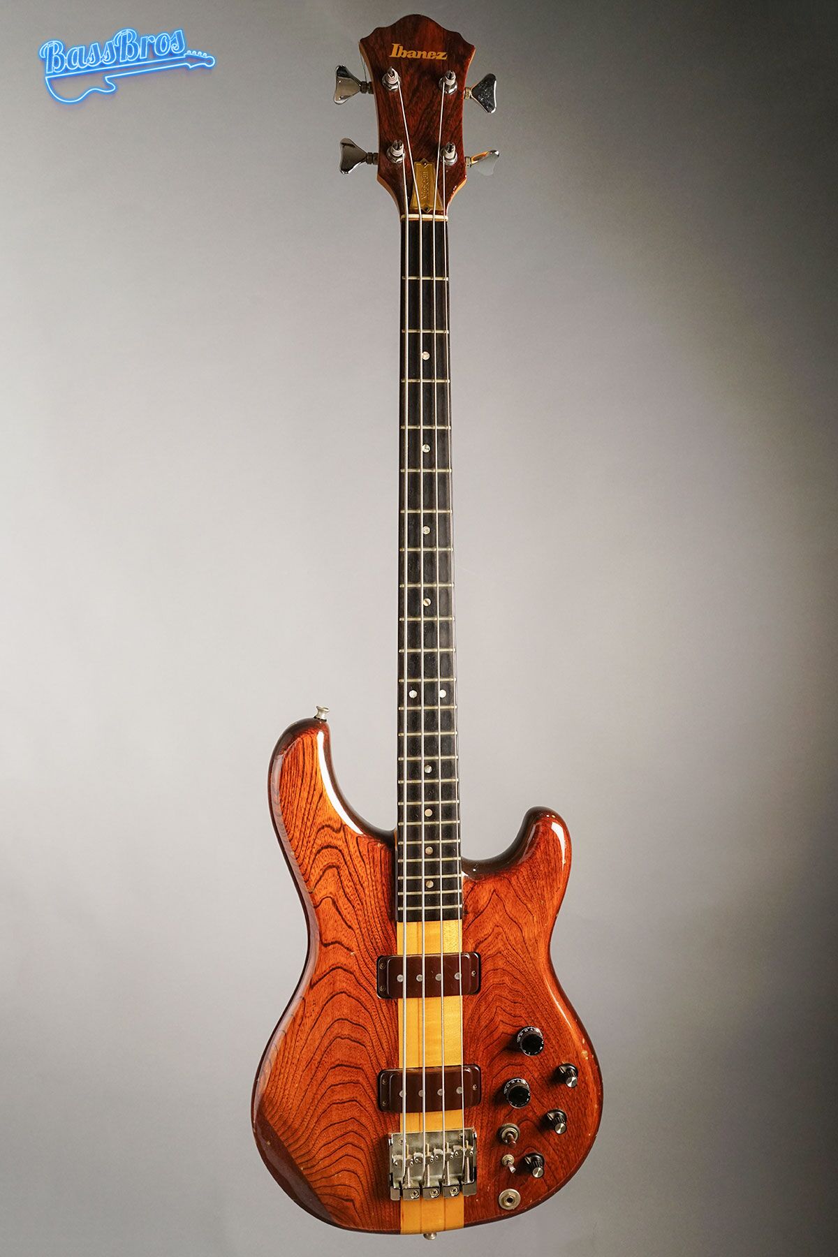 Ibanez-Musician-1.jpg